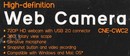 CANYON <CNE-CWC2 Silver>  Web Camera (USB2.0, микрофон)